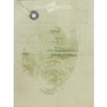 Portrait photo of young man. Original, small ID picture, paper picture. (2792021)