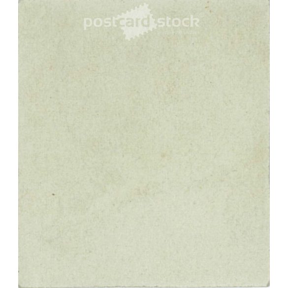 Portrait photo of brothers. Small original paper image. (2792022)