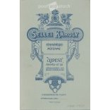 Károly Sellei Photography Studio, Hungary, Újpest. Family photo, studio shot. With very nice lights.  Cabinet card / CDV photo / hardback photo. (2792038)