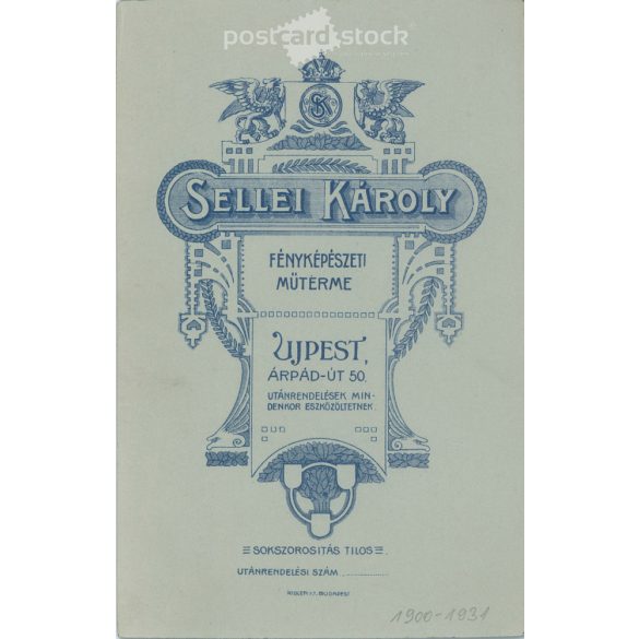 Károly Sellei Photography Studio, Hungary, Újpest. Family photo, studio shot. With very nice lights.  Cabinet card / CDV photo / hardback photo. (2792038)