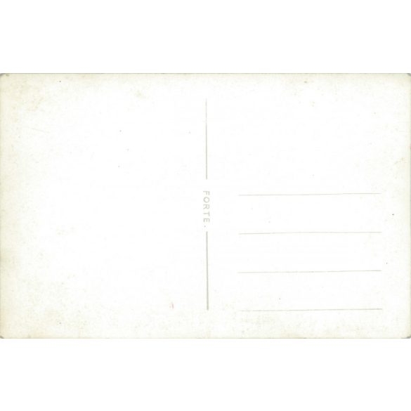 Studio half-length photo of a pair of brothers. Black and white original paper image. Postcard, photo sheet. (2792043)