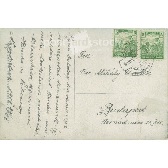 1918 - Magyaróvár. State, civilian Girls’ School. Colored photo sheet, postcard. (2792061)