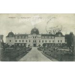 1914 - Homonna. The castle of Count Sándor Andrássy. Black and white photo sheet, postcard. (2792078)
