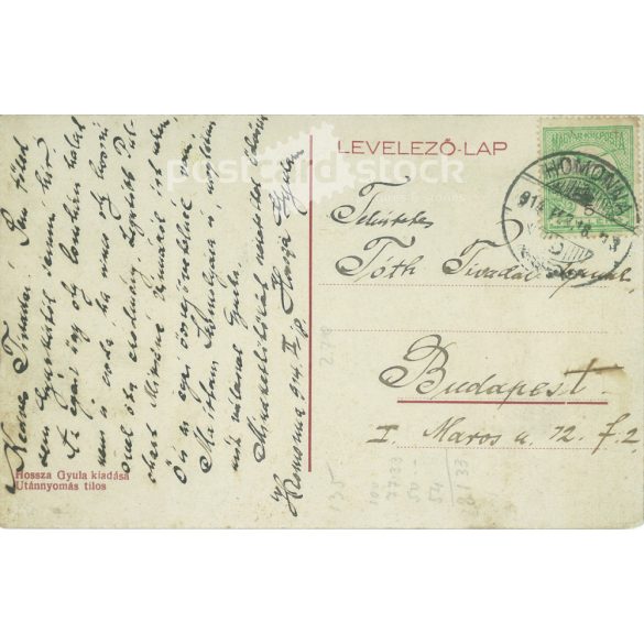 1914 - Homonna. The castle of Count Sándor Andrássy. Black and white photo sheet, postcard. (2792078)