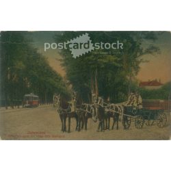   1916 - Debrecen. A free royal city, with five decorations. Colored photo sheet, postcard. (2792081)
