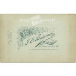 1902 - F.E. Bednarik photographic studio, Vienna. Full-length photo of a young woman in festive, folk attire. Colored  Cabinet card / CDV photo / hardback photo. (2792098)