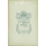 Early 1900s. Carl Klöckner photography studio, Vienna. Full family studio group photo. Colored  Cabinet card / CDV photo / hardback photo. (2792101)