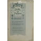 Early 1900s. Elbl and Pietsch photography studio, Budapest. Full family studio group photo.  Cabinet card / CDV photo / hardback photo. (2792112)