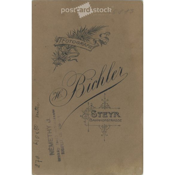 Early 1900s. H. Bichler photographic studio, Steyr. Studio photo of a young couple. Artistic photography.  Cabinet card / CDV photo / hardback photo. (2792114)