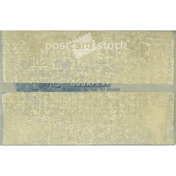 Early 1900s. Budapest photography studio. Full-length studio photo. Young woman in elegant dress and hat decorated with flowers.  Cabinet card / CDV photo / hardback photo. (2792117)