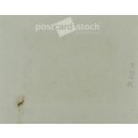 1910s. Family garden party. Covered photo, on cardboard framed with an art nouveau motif. Original paper image. (2792121)