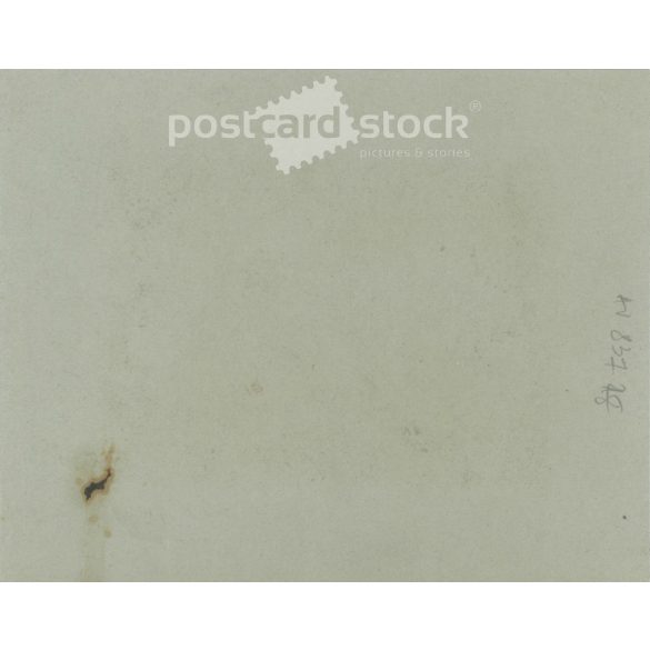 1910s. Family garden party. Covered photo, on cardboard framed with an art nouveau motif. Original paper image. (2792121)