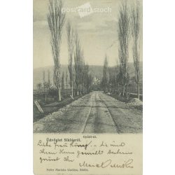   1906 - Siklós, Gyüdi út. Published by Mariska Feiler, Siklós. Black and white photo sheet, postcard. (2792125)