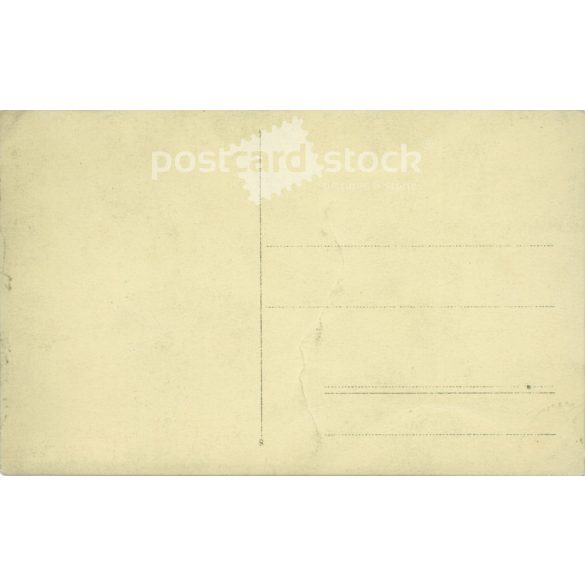 1910s. A pair of brothers. Photofilm, the work of Transsylvania Rt. Black and white photo sheet, postcard. (2792153)