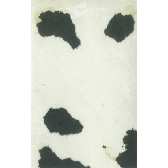 1920s. Photo of an elegant, young woman with fashionable hairstyles and neckties of the time. Original paper image. (2792159)