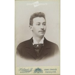   Early 1900s - Studio portrait of a young man. Produced by Péter Kalmár’s photography studio in Budapest.  Cabinet card / CDV photo / hardback photo. (2792174)