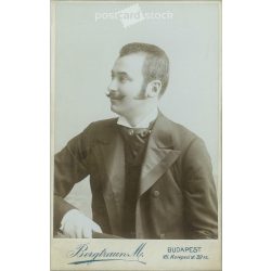   Early 1900s - Studio portrait of a young man. It was made by M. Bergtraun’s photography studio in Budapest.  Cabinet card / CDV photo / hardback photo. (2792177)