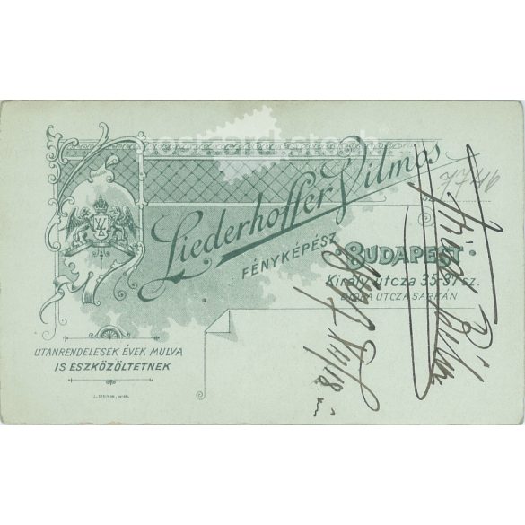 1897 - Studio portrait of a young man. Produced by Vilmos Linderhoffer’s photography studio in Budapest.  Cabinet card / CDV photo / hardback photo. (2792179)