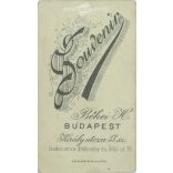 Early 1900s - Studio portrait of a young man. Produced by H. Békei’s photography studio in Budapest.  Cabinet card / CDV photo / hardback photo. (2792180)