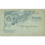 1898 - Studio photo of an elegant young woman. Made by Hollós and Szlovák, photography studio in Győr.  Cabinet card / CDV photo / hardback photo. (2792203)