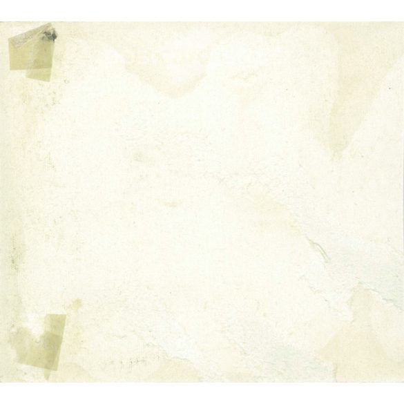 Family photo in the park. Recorded in Hungary in the 1930s. Its maker is unknown. Original paper image. (2792213)