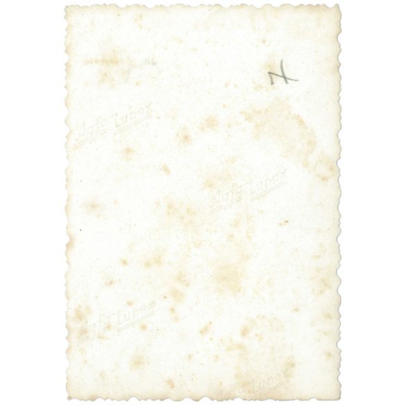 On the ladder. 1940s in Hungary. The creator of the image is unknown. Original paper image. (2792214)