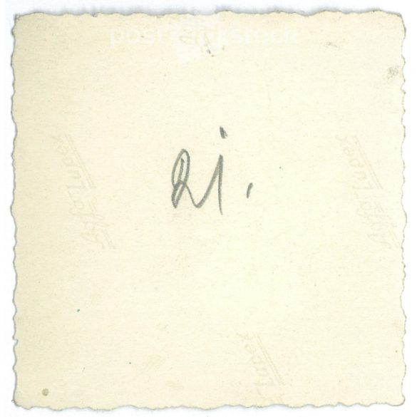 A little boy from the 1960s. The recording was made in Hungary. Original paper image. Manufacturer unknown. (2792217)