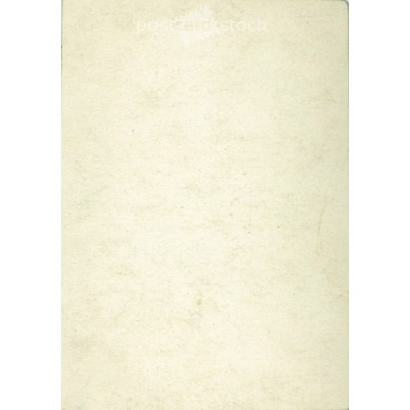 1920s. First World War commemoration. The photo shows officers and political leaders. Original paper image. Its maker is unknown. (2792222)