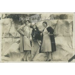   1920s. A trip to the zoo. Original paper image. Its maker is unknown. (2792225)