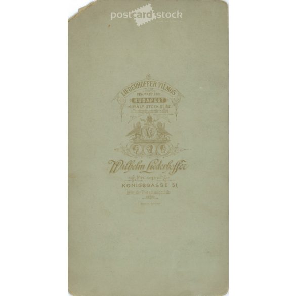 1890s. Studio portrait of a young man. Produced by Wilhelm Linderhoffer, photography studio, Budapest. Original  Cabinet card / CDV photo / hardback photo. (2792233)