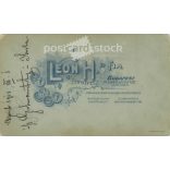 1910 - Studio photo of an elegant young couple. It was made in the photography studio of Leon H és Fia, Budapest. Original  Cabinet card / CDV photo / hardback photo. (2792247)