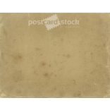 1910s. Wedding photo of a married couple. Its maker is unknown. Original, cashiered paper image. (2792255)