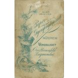 1910s. Studio portrait of a married couple with their child, full-length. Made in the Papír Speed Photography studio, Városloget, Budapest. Original  Cabinet card / CDV photo / hardback photo. (2792269)