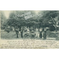   1902 - Lipik spa, old park (today’s Croatia). Made by Schmidt Edgar in Dresden-Budapest. Photo sheet, postcard. (2792287)