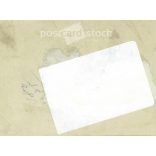 1910s. Family playing cards in the garden. The creator of the image and the identity of the people in the image are unknown. The photo was taken in Hungary. Original paper image. (2792292)