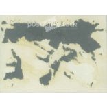 1924 - Group photo of bathers. The creator of the image and the identity of the people in the image are unknown. The photo was taken in Hungary. Original paper image. (2792302)