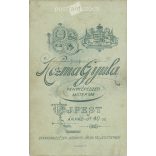 1910s. Young woman, in polka dot dress, identity unknown. The photo is by Gyula Kozma, taken in a photography studio in Újpest. Original  Cabinet card / CDV photo / hardback photo. (2792309)