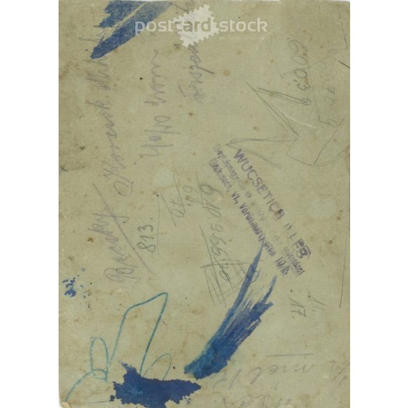 Early 1900s. Family group photo in the yard. The persons in the picture are unknown. It was taken in the photo studio of Illés Wucsetics in Budapest. Covered on hardboard. Cabinet photo / hardback photo / business card. (2792314)