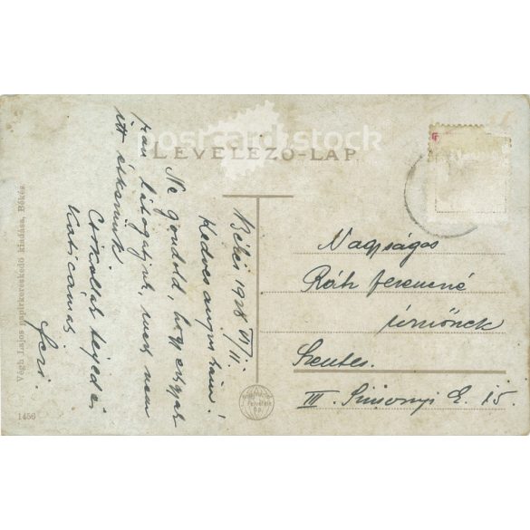 1928 - Békés. Hungarian King Hotel. Colored photo sheet, postcard. (2792326)