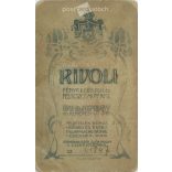 Early 1900s. Studio photo of a young man. The identity of the man in the picture is unknown. The photo was taken in Rivoli’s photography studio in Budapest. Original  Cabinet card / CDV photo / hardback photo. (2792347)