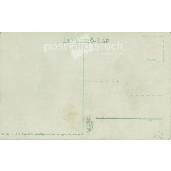 1916 - Arad. Kossuth Park. Colored photo sheet, old postcard. (2792374)