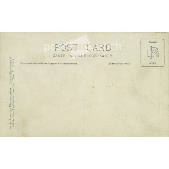 Studio recording of Elegant gentleman. Made by Anglo-American Photographers in a photographic studio in Vienna. Black and white paper image. Old postcard, photo sheet. (2792376)