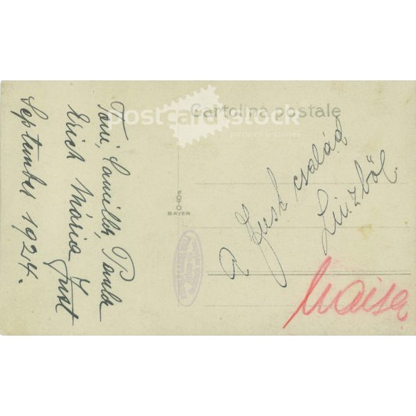 1924 - Family photo in the park, Linz. Sepia, old photo sheet, postcard. (2792379)