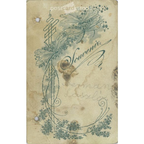 Early 1900s. László Bermann’s studio photo. Old photo / Visitcard / CDV photo. (2792398)