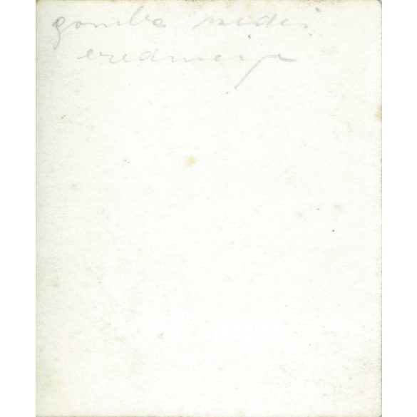 1930s. The result of mushroom picking. Black and white original paper image, old photo. (2792402)