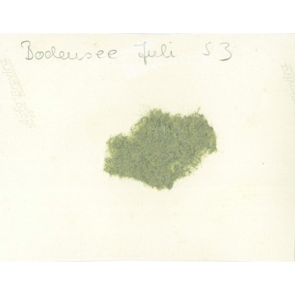 1953 - Germany. Bodensee. Pretty young woman sitting on the car. Its maker is unknown. Black and white original paper image, old photo. (2792425)