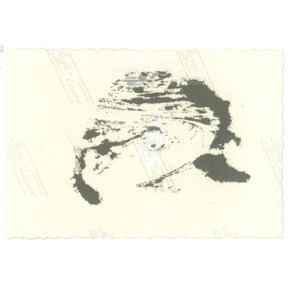 1950s. Germany. Little boy in the stationary car. The creator of the image is unknown. Black and white original paper image, old photo. (2792429)