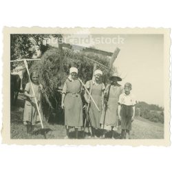   1930s. Germany. Hay collection is over. Its maker is unknown. Black and white original paper image, old photo. (2792438)