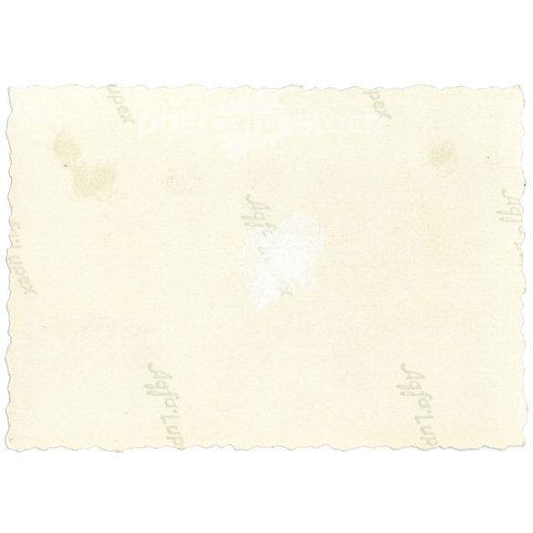 1930s. Germany. Hay collection is over. Its maker is unknown. Black and white original paper image, old photo. (2792438)