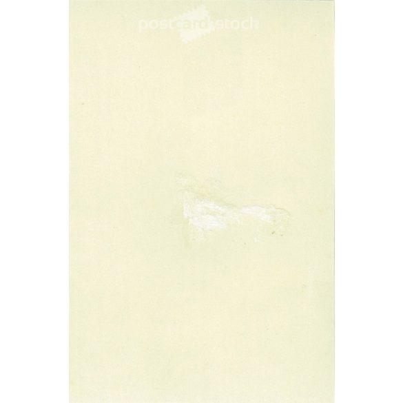 1950s. Germany. Christmas together. Its maker is unknown. Black and white original paper image, old photo. (2792444)